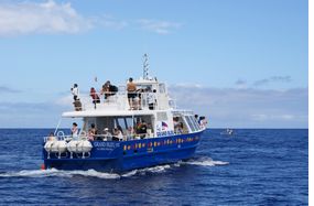 bateau promenade