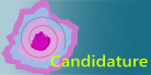 Candidature.png