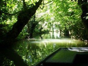 Venise verte Vendée